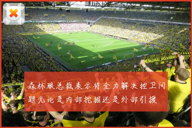 森林狼总裁表示将全力解决控卫问题无论是内部挖掘还是外部引援